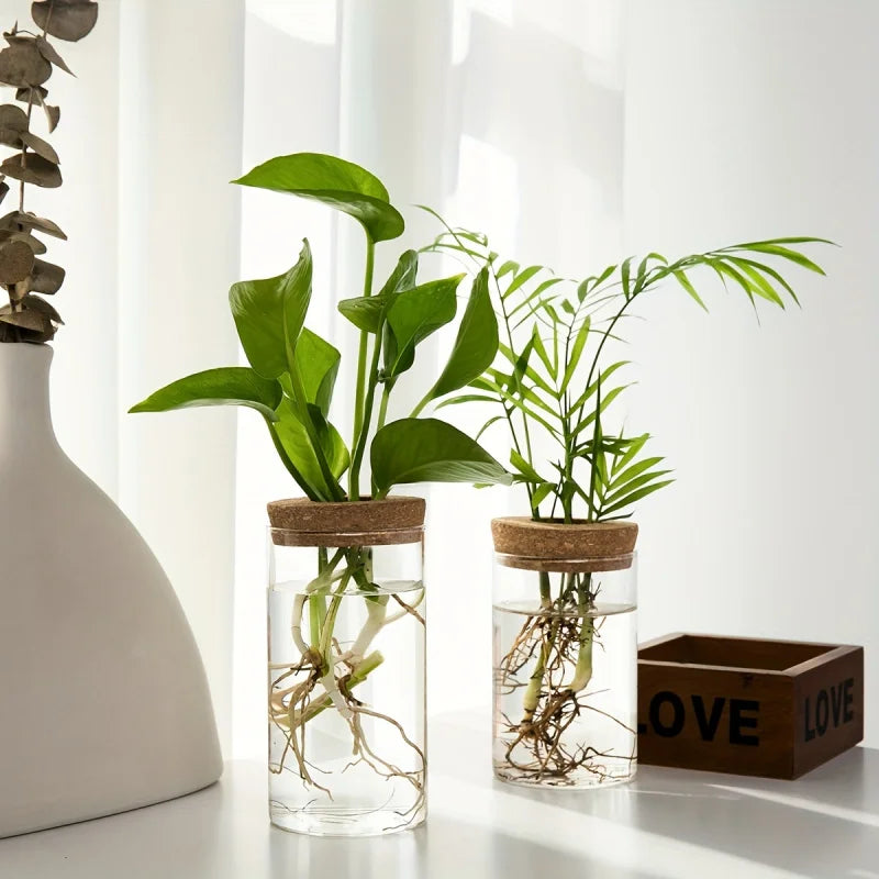 GlassGrow Bud Vase
