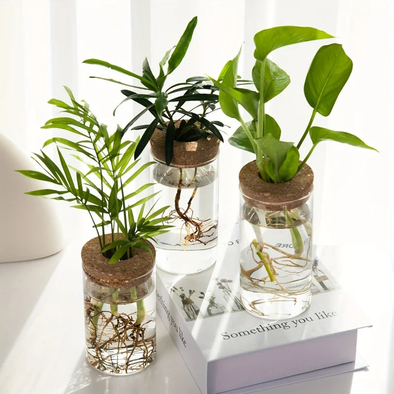 GlassGrow Bud Vase