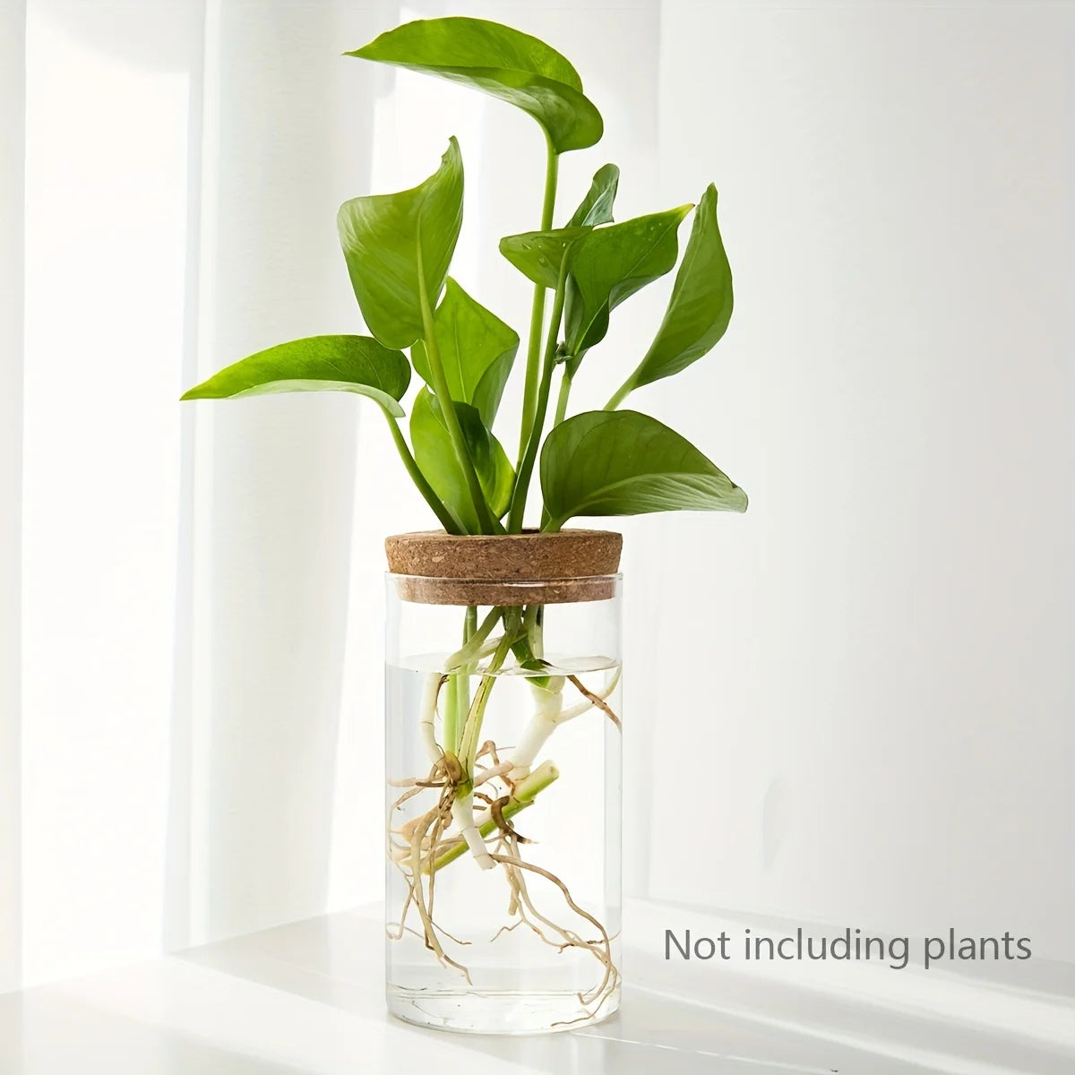 GlassGrow Bud Vase