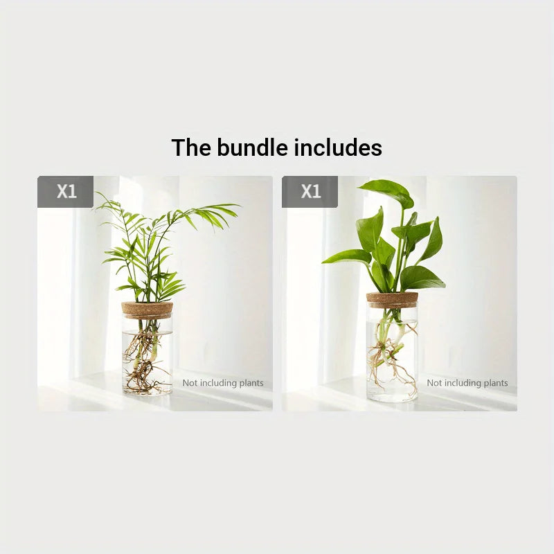 GlassGrow Bud Vase