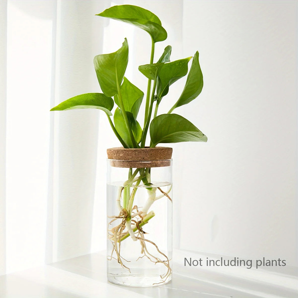 GlassGrow Bud Vase