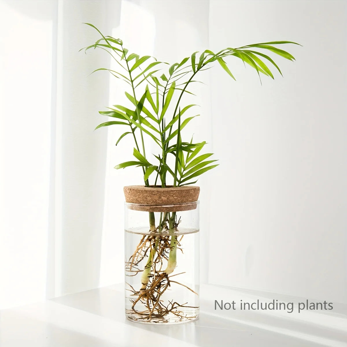 GlassGrow Bud Vase