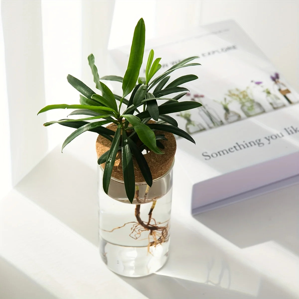 GlassGrow Bud Vase