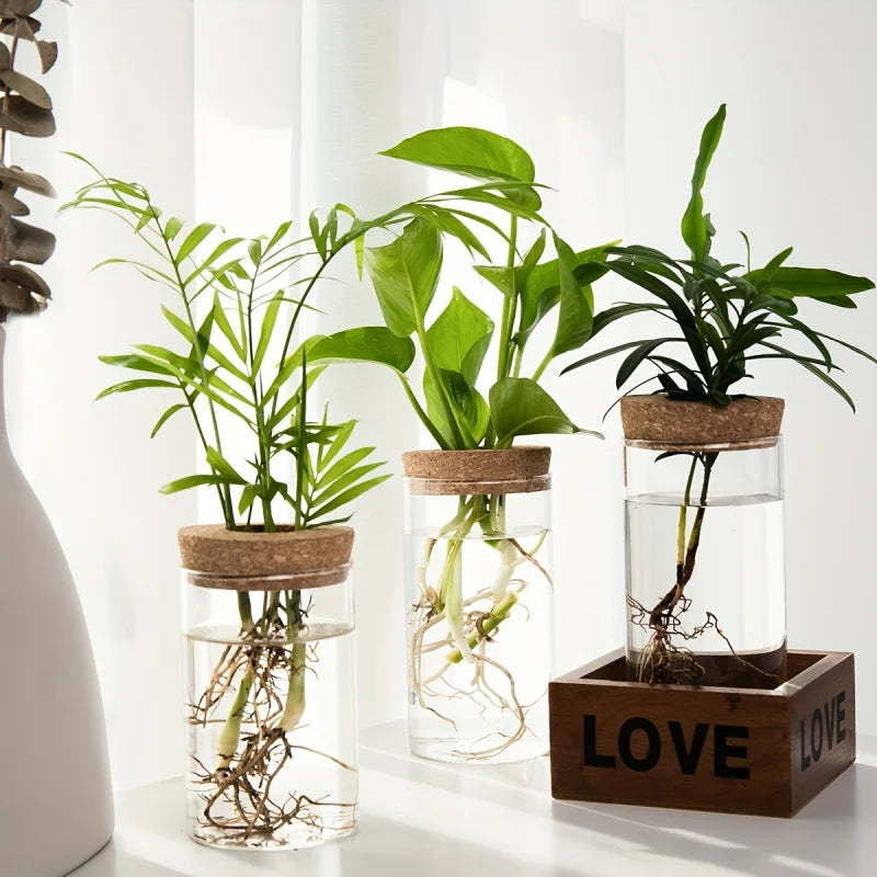 GlassGrow Bud Vase
