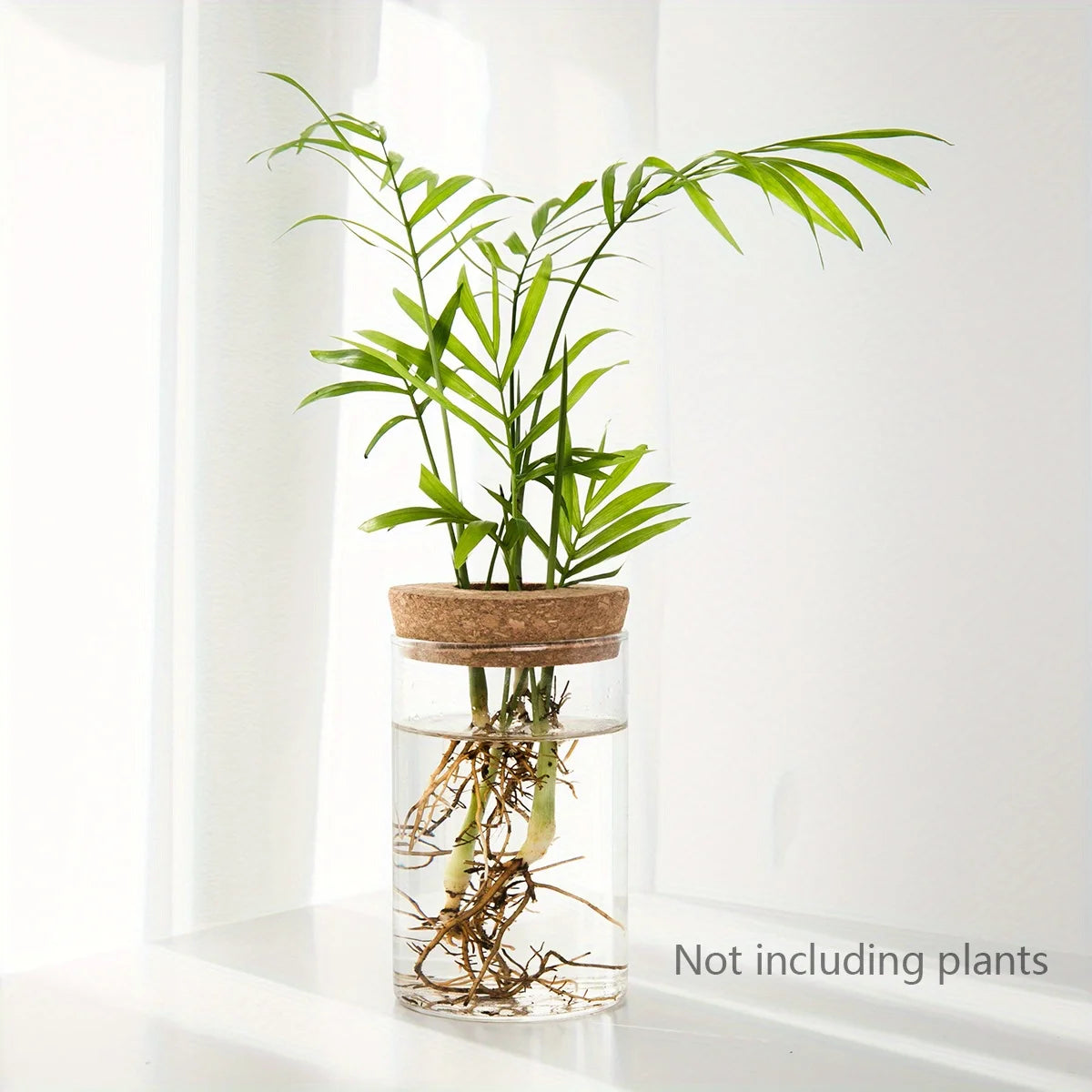 GlassGrow Bud Vase