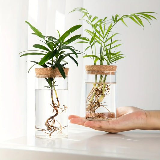 GlassGrow Bud Vase